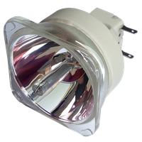 BENQ 5J.JA705.001 Lamp without housing