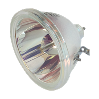 BOXLIGHT 3650E Lamp without housing