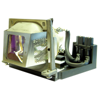 HP xp7030 Lamp with housing