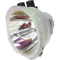 PANASONIC PT-DX100EWJ (portrait) Lamp without housing