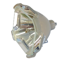 SANYO PLC-XT21 Lamp without housing